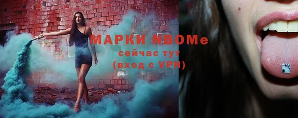меф Ельня