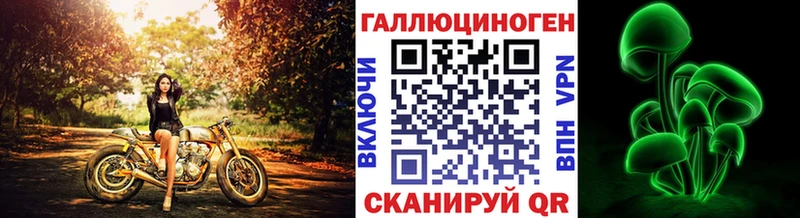 Купить  Новохопёрск  Псилоцибиновые грибы Cubensis 